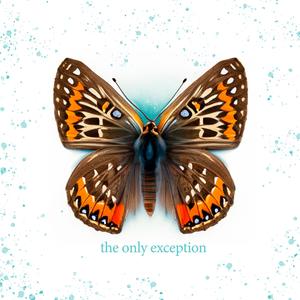 欧美黑人色情ⅩXXⅩ性
